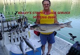 Striper fishing guide service